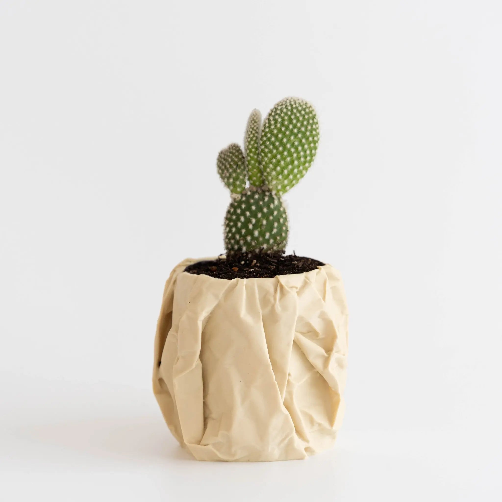 Blok3d Nuestro Catálogo Crimp – Macetero texturizado