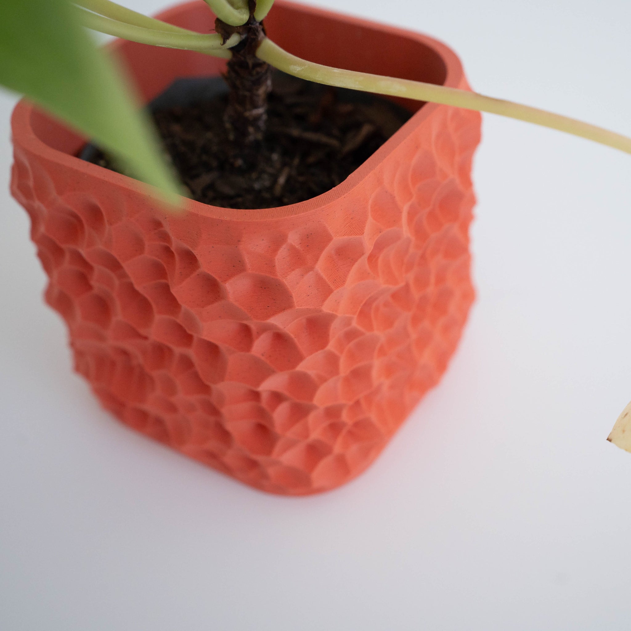 Blok3d Nuestro Catálogo Crimson - Macetero Patrones naturales