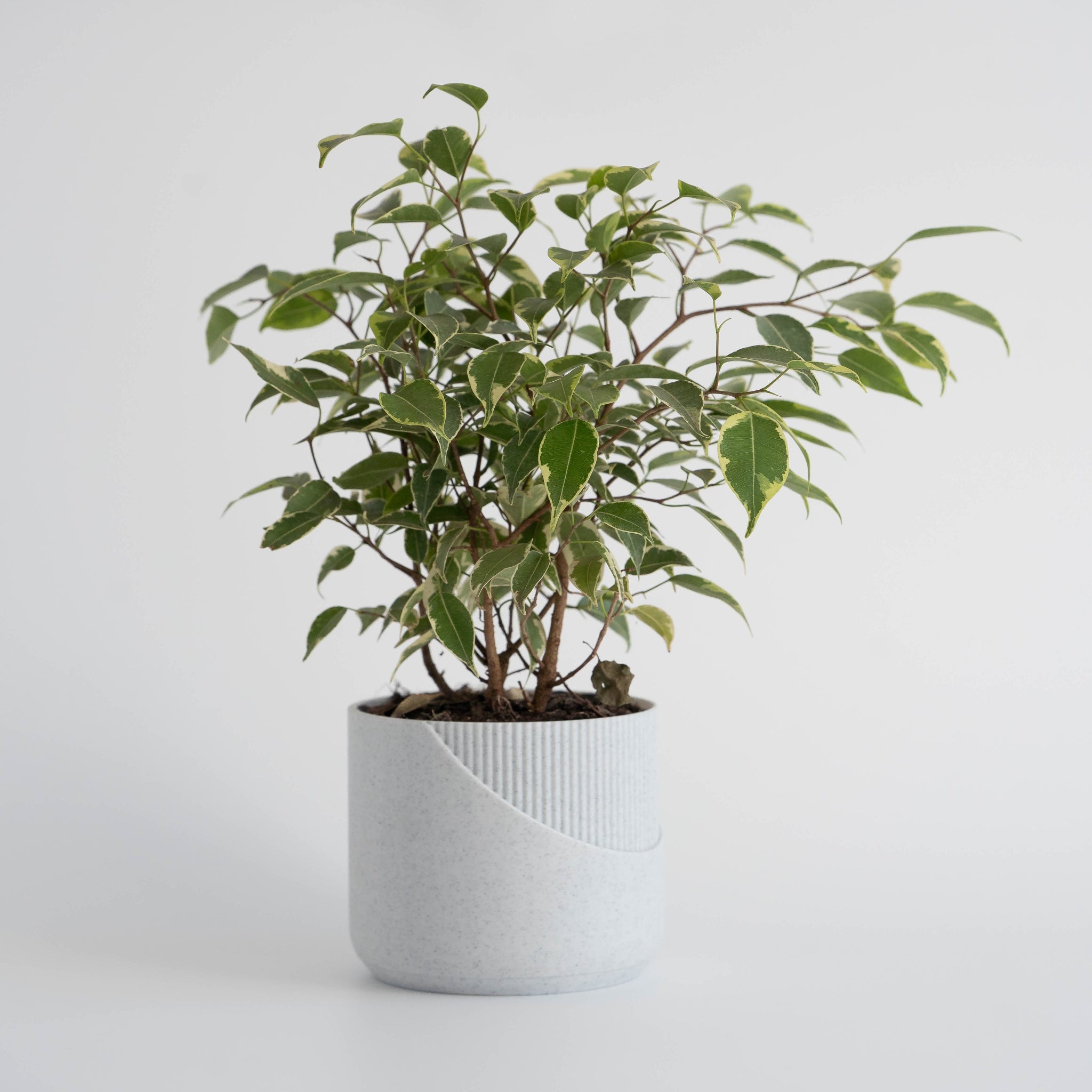 Blok3d Nuestro Catálogo Minimal - Macetero Minimalista