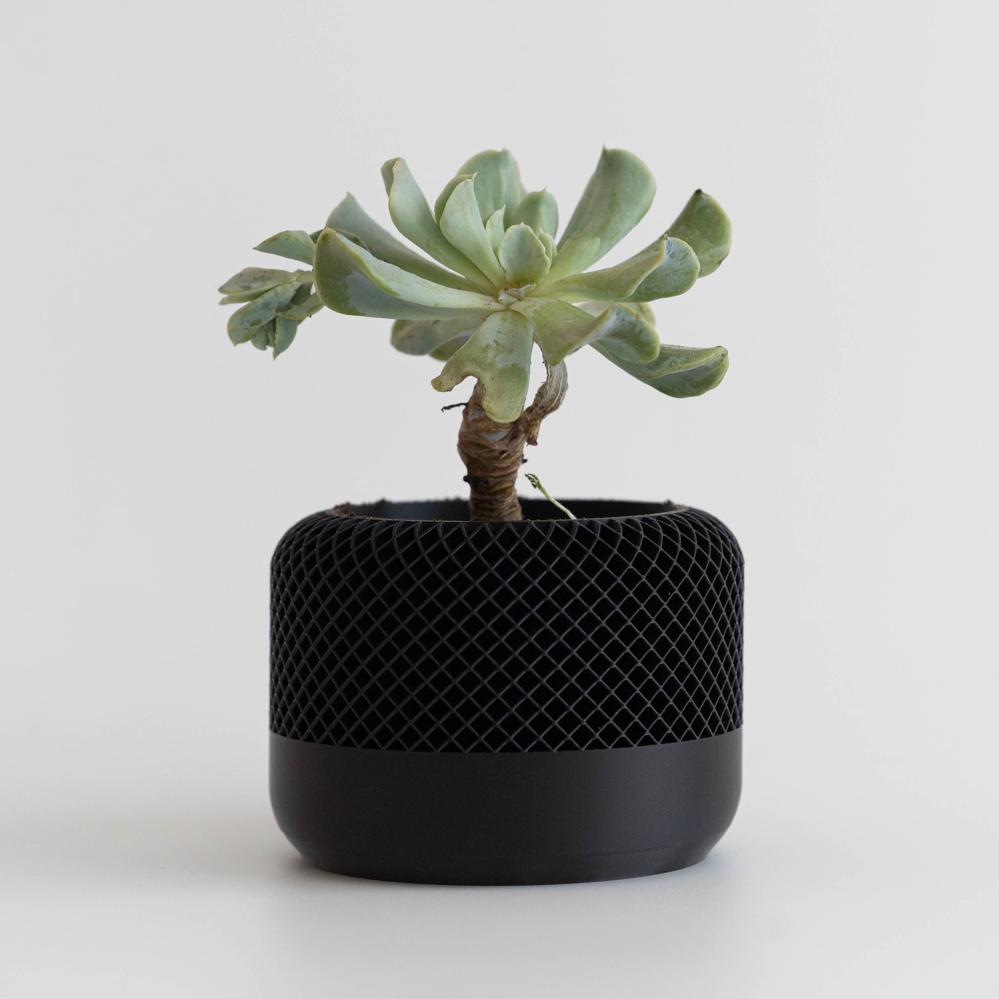 Blok3d Nuestro Catálogo Noirra – Macetero decorativo