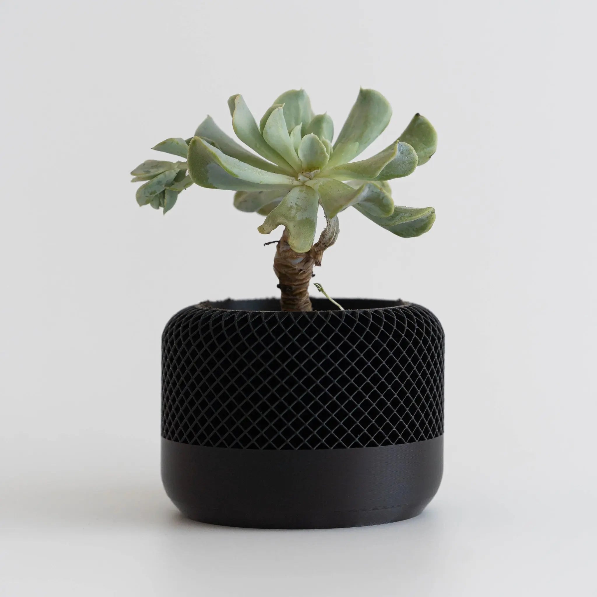 Blok3d Nuestro Catálogo Noirra – Macetero decorativo