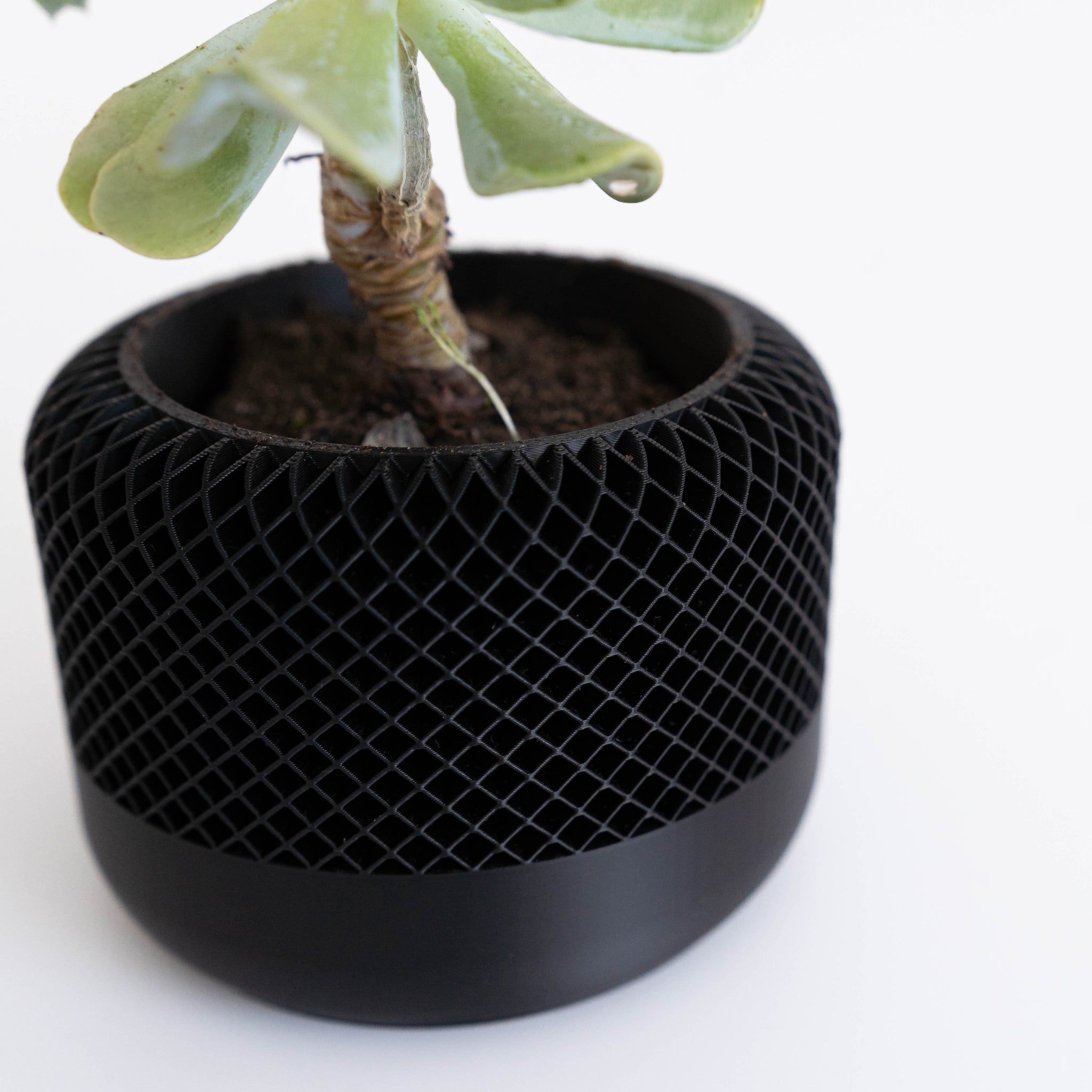 Blok3d Nuestro Catálogo Noirra – Macetero decorativo
