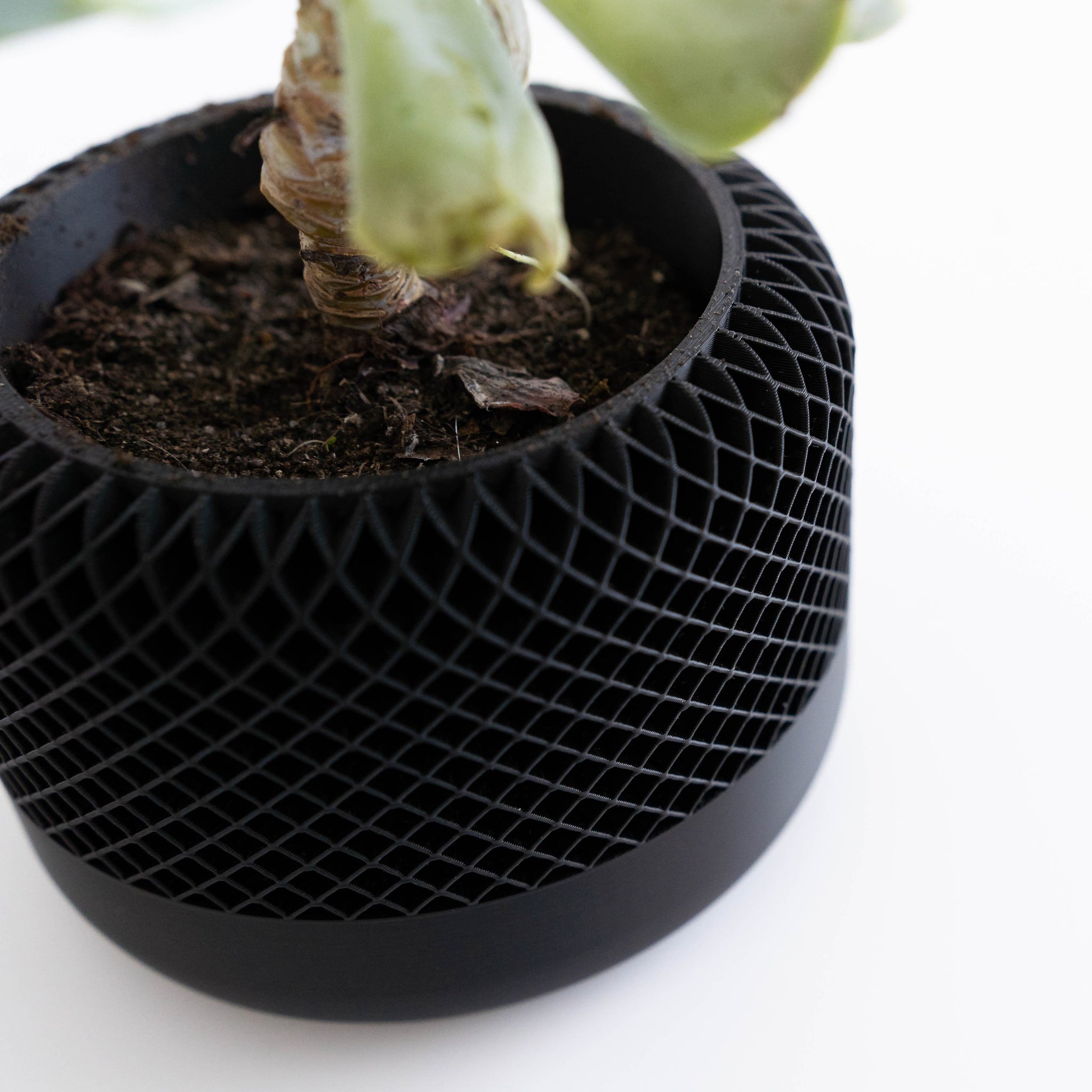 Blok3d Nuestro Catálogo Noirra – Macetero decorativo